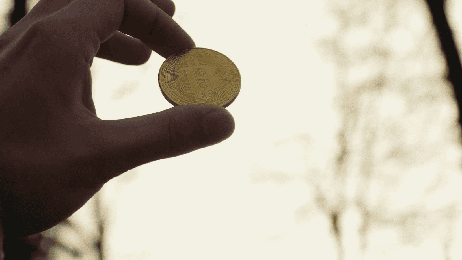 Bitcoin as a Diversifier