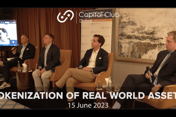 Tokenization and Real World Assets: Insights and Perspectives