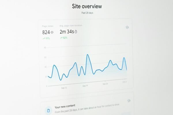 Line graph on a computer screen